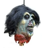 Zombie Rotten Corpse Head Prop - Image 2