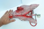 Pig on Hook prop - Image 5