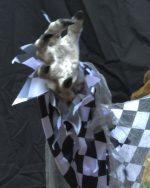 Life Size Halloween Props Realistic Hanging Blue Clown Light up Eyes and Sound - Image 8